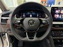 Skoda Kodiaq  2.0 AMT, 2025 год