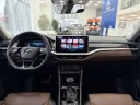 Skoda Kodiaq  2.0 AMT, 2025 год