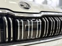 Skoda Kodiaq  2.0 AMT, 2025 год