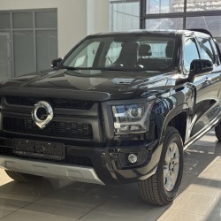 Great Wall Poer King Kong 2.0 AT, 2024 год