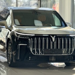 Voyah Dream 1.5 AT, 2023 год, 5 480 км